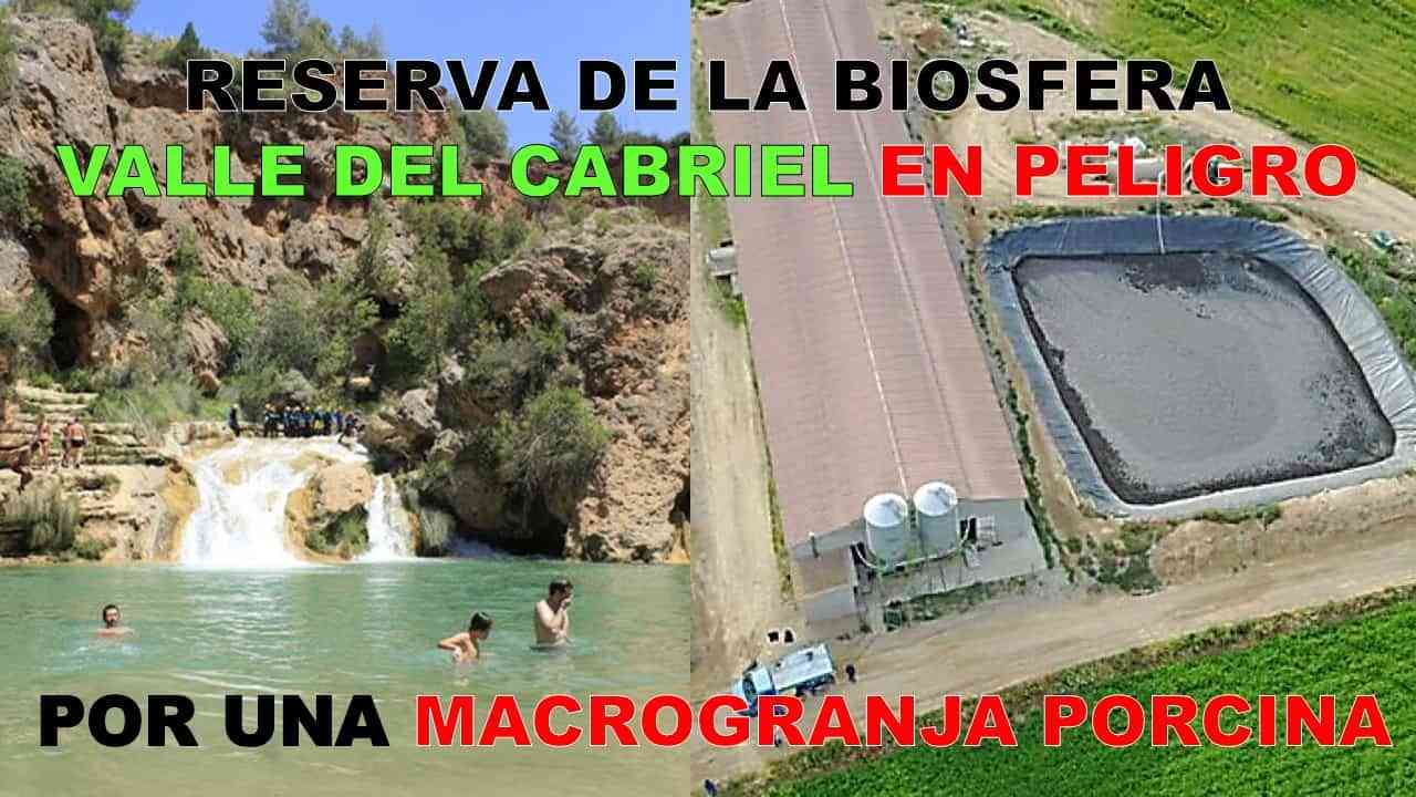 Pueblos Vivos Cuenca lanza una recogida de fondos para luchar contra la instalación de una macrogranja porcina en la Reserva de la Biosfera Valle del Cabriel