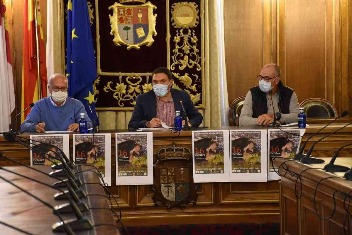 VII Concurso Nacional de Mastín Español este 16 de octubre en Fuentenava de Jábaga Cuenca