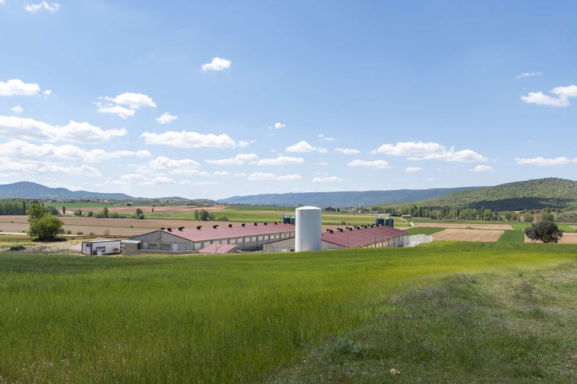 El TSJCM da la razón a ICPOR y anula la Ordenanza municipal sobre gestión de purines de Almendros