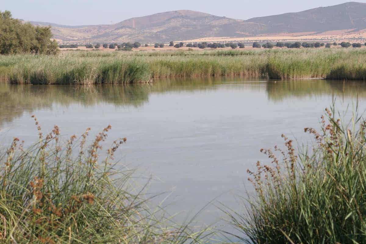 La sobrepesca de los acuíferos en C-LM es denunciada por ecologistas ante el aumento del regadío en la región.