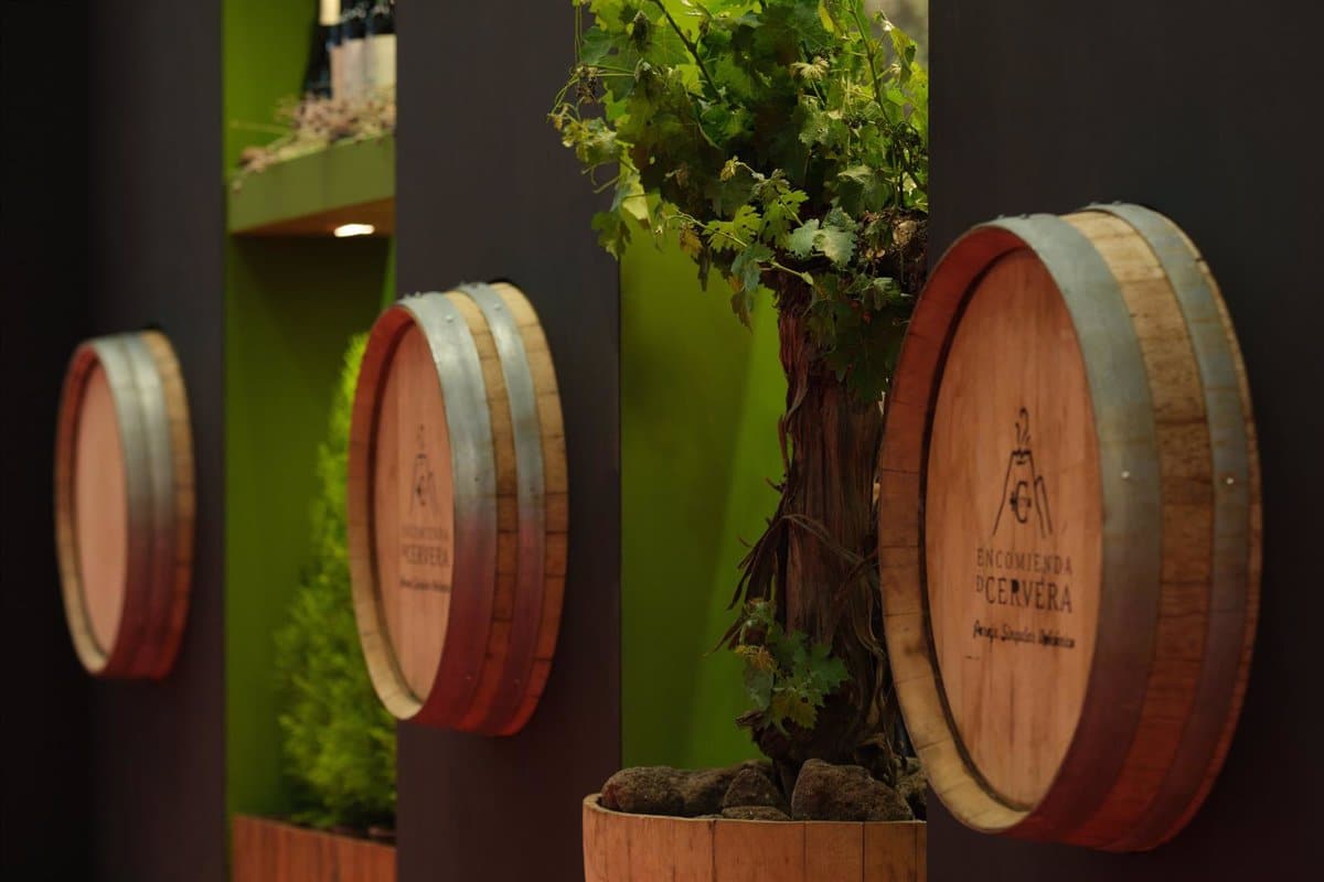 Cooperativas Agro-alimentarias prevé una producción de 20 millones de hectolitros de vino y mosto en Castilla-La Mancha.