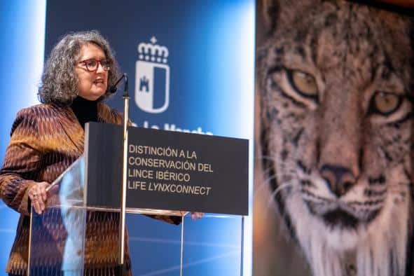 Castilla-La Mancha crea área de reintroducción del lince ibérico en Cuenca: ‘Veguilla y Sierra Jarameña’