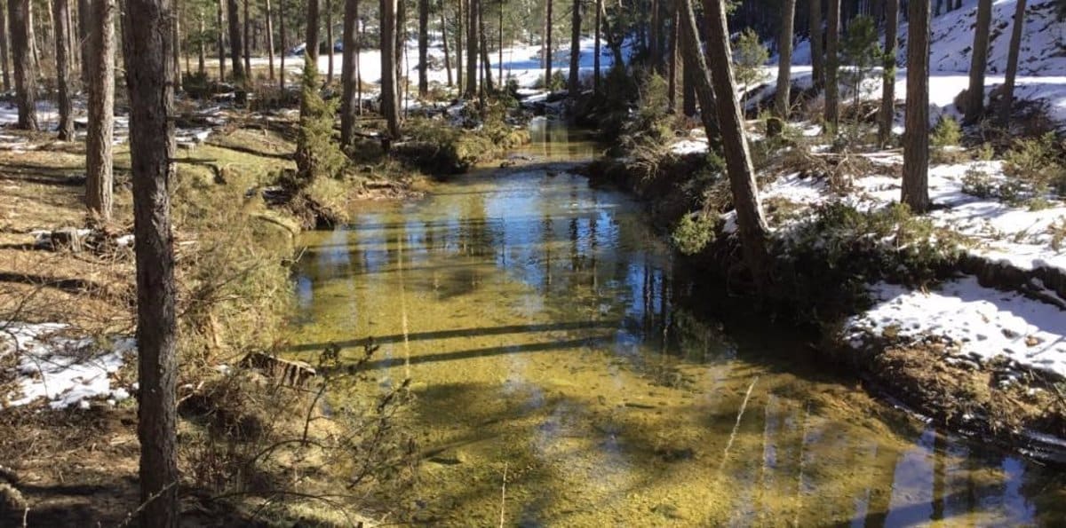 C-LM y Aragón Cooperan En La Gestión Cinegética De La Reserva De Caza Montes Universales En Teruel