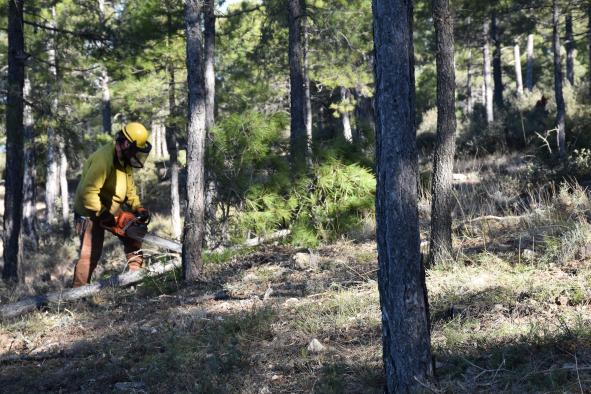 El gobierno regional invertirá en la prevención de incendios forestales en Cuenca con 10 millones de euros.