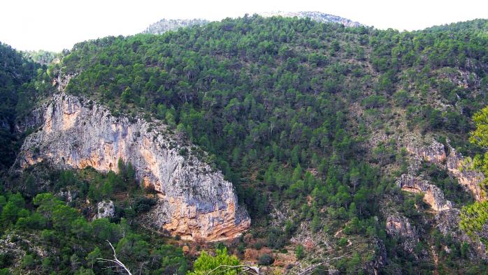 actividades gratuitas para sensibilizar sobre el medio ambiente.