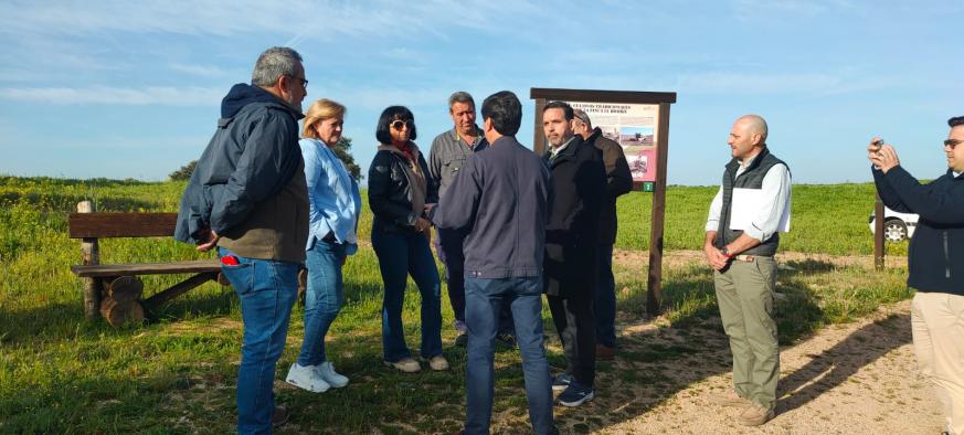 El lince ibérico, especie emblemática de Castilla-La Mancha en programas de educación ambiental