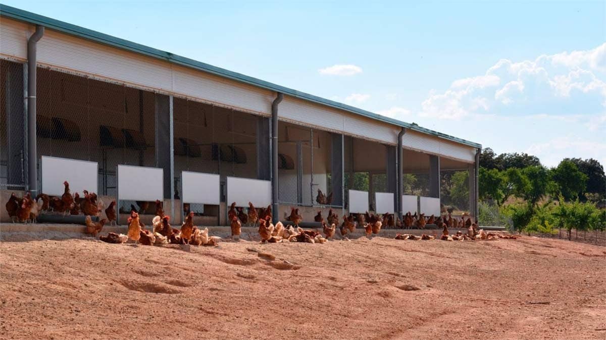 naves reconstruidas y nuevos núcleos de producción en Gran Canaria