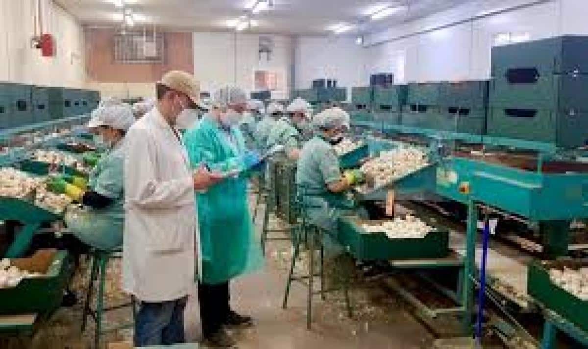 Alcanzan Acuerdo para Firmar el Convenio de la Industria Agroalimentaria en Cuenca