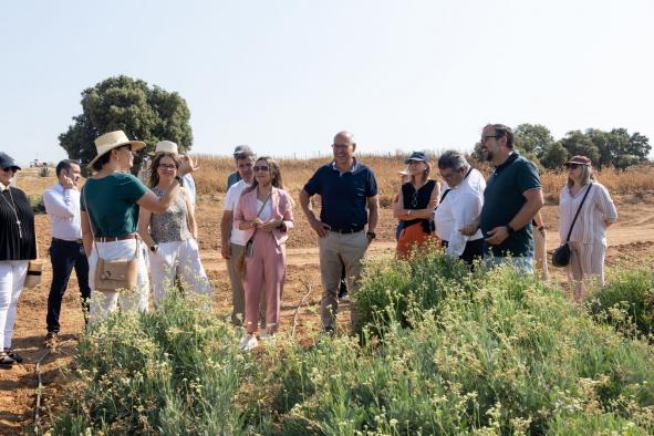 El Gobierno regional impulsa el guayule, un cultivo resistente al cambio climático y adaptable a diversos suelos.