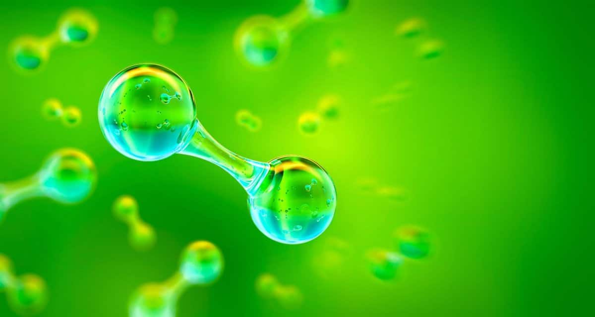 Ecologista denuncia «obstaculización» en el estudio de impacto ambiental de una planta de hidrógeno en Albacete