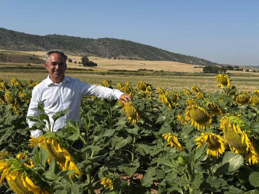 El Gobierno regional capacita a más de 600 agricultores de Cuenca en el curso agroambiental de girasol de la PAC 2025