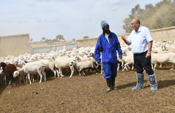 El Gobierno regional fomenta la Escuela de Pastores para asegurar el futuro del sector y fortalecer la población en el medio rural.