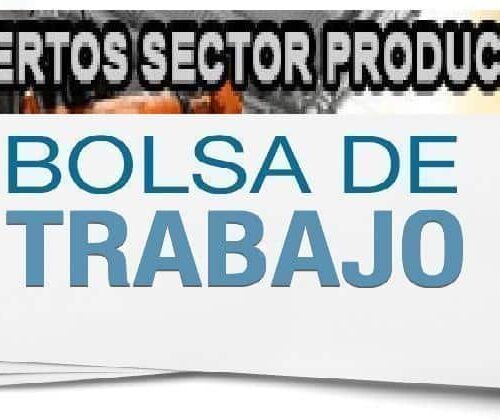 Lista final de seleccionados para bolsas de expertos en FP Sanitaria en Cuenca y Vinos y Aceites en Albacete