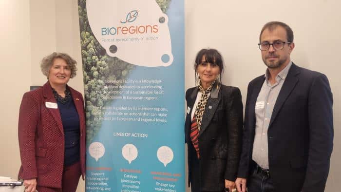 Castilla-La Mancha solicita apoyo europeo para fomentar la captura de carbono a través de la prevención de incendios forestales