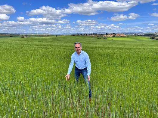 El Gobierno regional abona casi 50 millones de euros del primer anticipo de la PAC 2025 a 28.000 agricultores y ganaderos conquenses