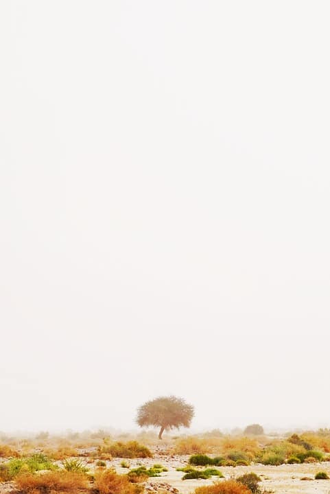 Más de 1.000 personas disfrutan del ‘Tour Promoción’ del Gobierno de Castilla-La Mancha en una celebración única y emocionante