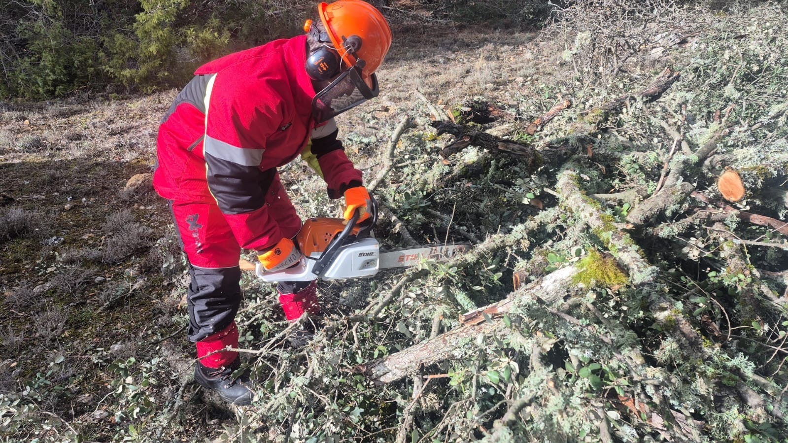 El Recuenco ofrece leña cortada a sus vecinos gracias a un nuevo servicio municipal