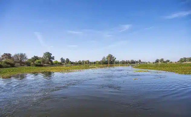 La Junta de Gobierno de la Confederación Hidrográfica del Guadiana aprueba los Regímenes de Extracciones para 2026 de las nueve Masas de Agua Subterránea en riesgo