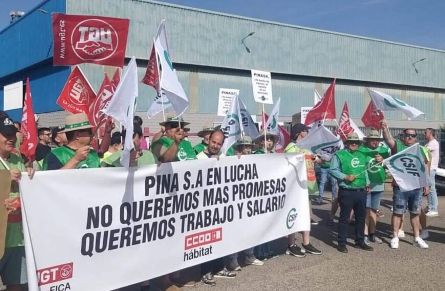 Encuentro con la Subdelegada del Gobierno en Cuenca para abordar la situación laboral en Pinasa