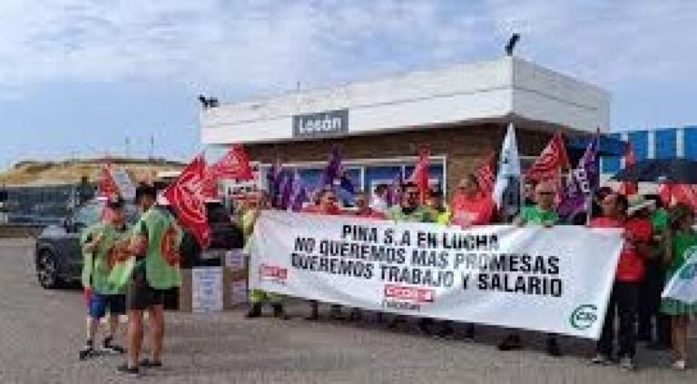 CCOO Espera el Respaldo del Sector Bancario al Plan de Reestructuración para Salvaguardar Pinasa