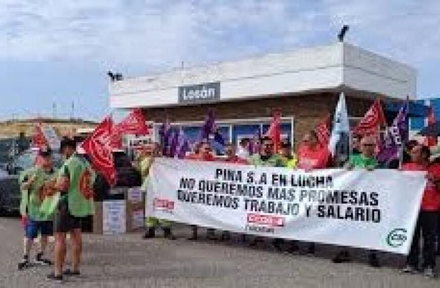 CCOO Espera el Respaldo del Sector Bancario al Plan de Reestructuración para Salvaguardar Pinasa