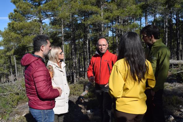 Inversión de 9 millones en tratamientos silvícolas para prevenir incendios forestales en Cuenca