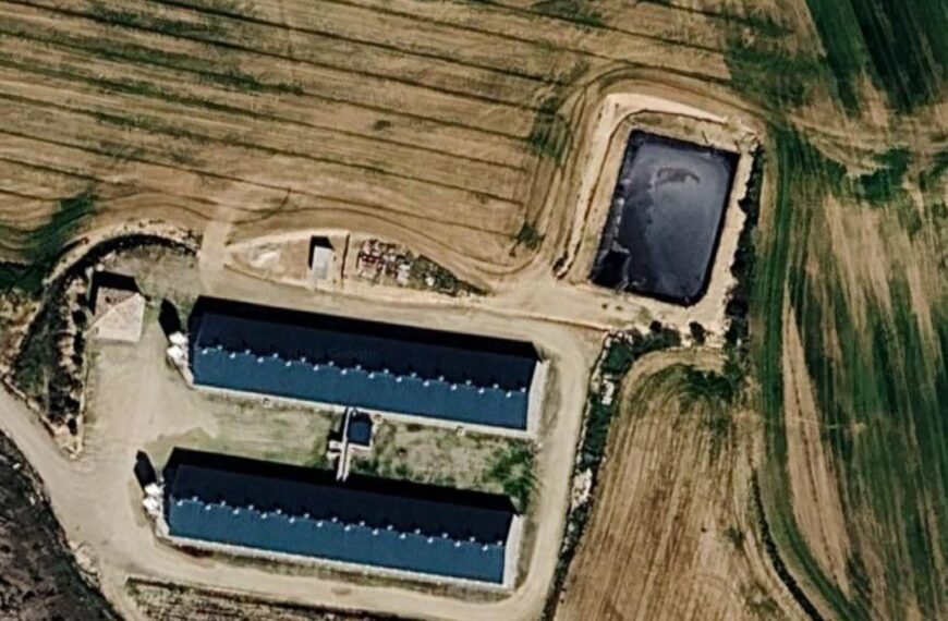 En trámite la ampliación de una macrogranja en La Ventosa (103 habitantes) para producir 14.400 cerdos al año